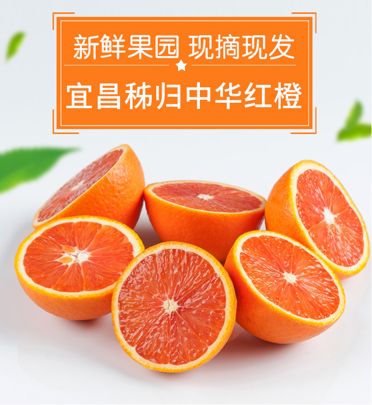【中华红血橙】宜昌秭归血橙脐橙橙子 5斤 产